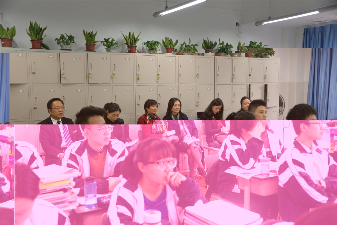 市教科院专家组莅临我校检查指导工作(图2)