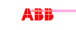 Cooperative partner 1